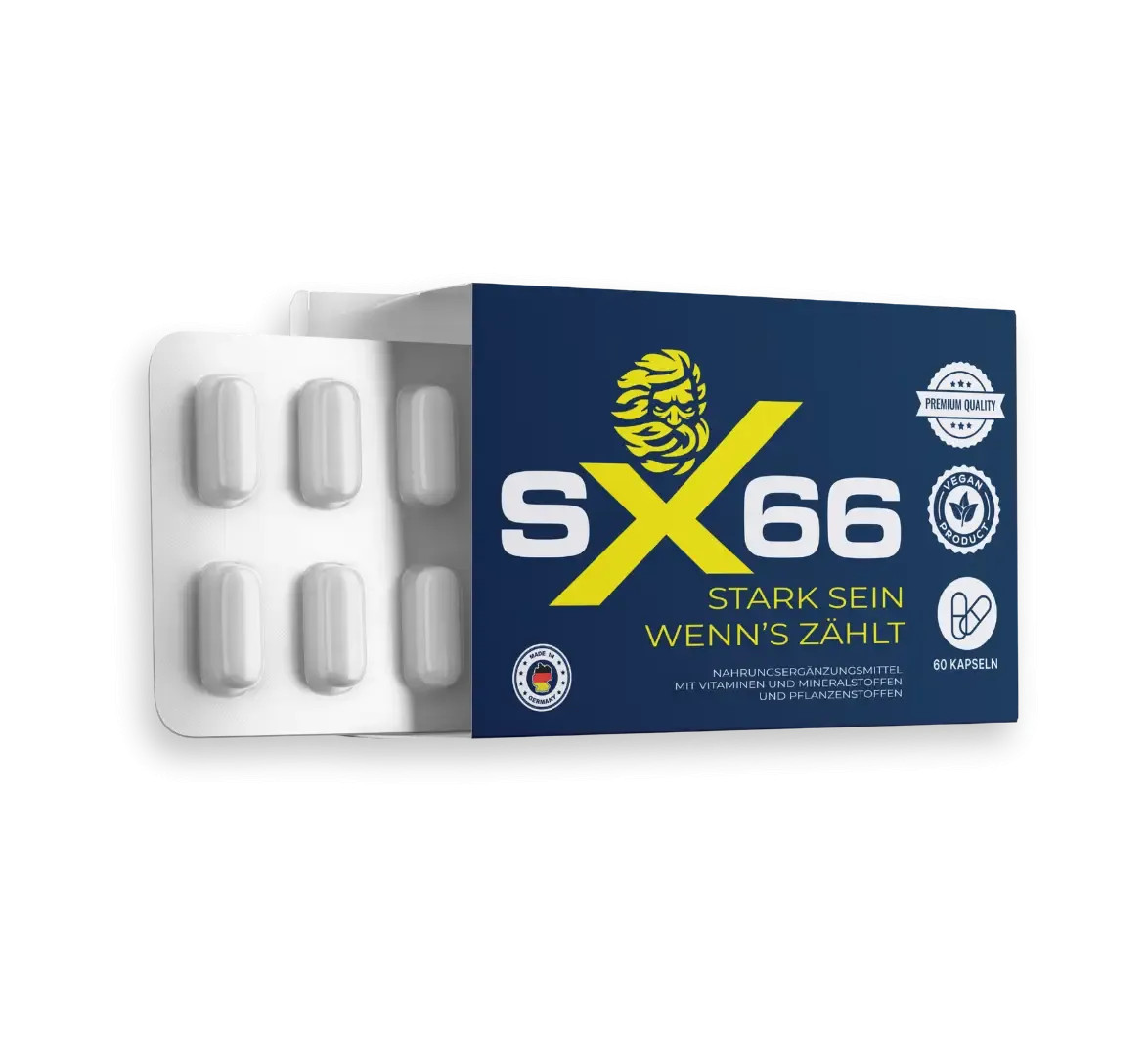 SX66